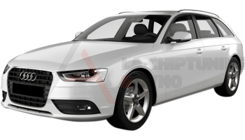 Audi A4 B8 - 2012  - 2015 2.0 TDI CR 120hp